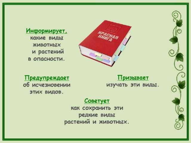 Красная книга лнр животные фото и описание