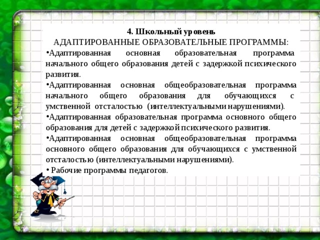 Рабочая программа зпр 7.2. Адаптированная основная образовательная программа с ЗПР. Адаптированная программа основного общего образования. Школьные программы начальной школы для ЗПР.