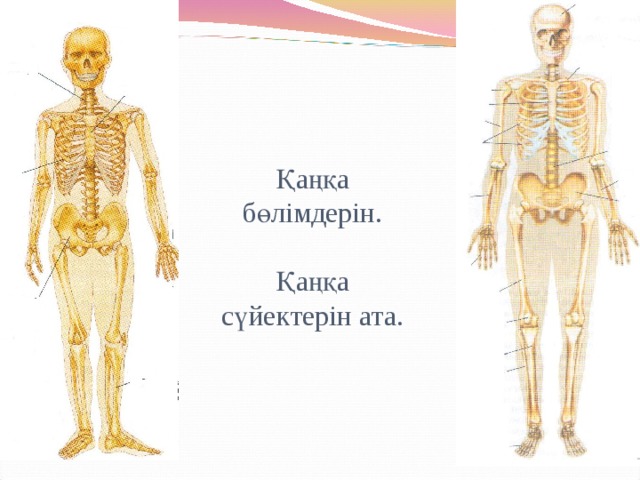 Тірек қимыл аппараты бұзылған балалар презентация