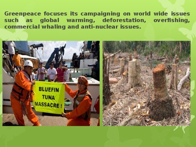 Greenpeace focuses its campaigning on world wide issues such as global warming, deforestation, overfishing, commercial whaling and anti-nuclear issues. 
