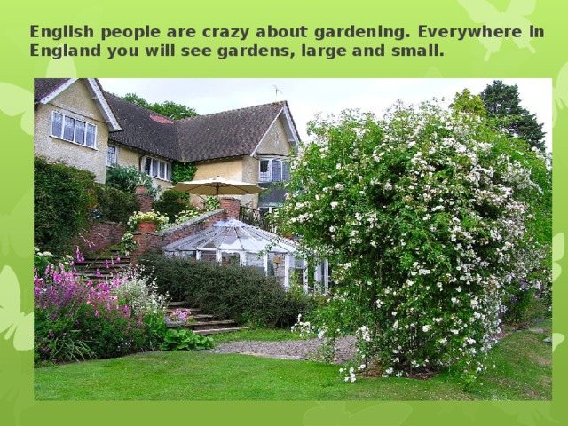 English people are crazy about gardening. Everywhere in England you will see gardens, large and small. 