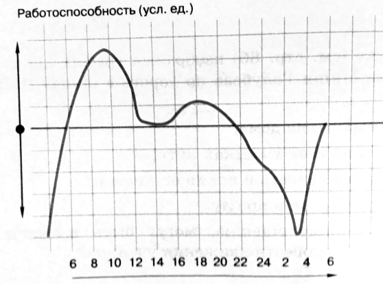 Пользуясь диаграммой работоспособности в течение рабочей недели отметьте только истинные ответы