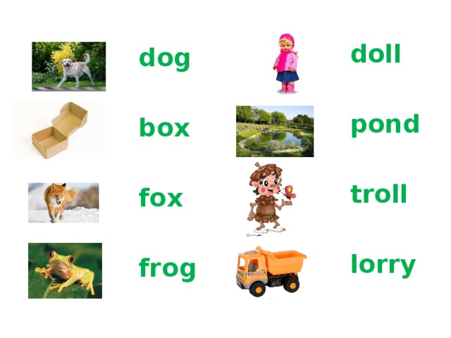 Кукла по английскому языку 2 класс. Dog Box Fox Doll Frog Pond troll Lorry. Dog Box Fox. A Fox with a Box. Dog, Fox, Frog, Box, Pot – какой звук.