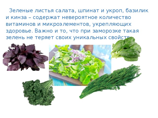  Зеленые листья салата, шпинат и укроп, базилик и кинза – содержат невероятное количество витаминов и микроэлементов, укрепляющих здоровье. Важно и то, что при заморозке такая зелень не теряет своих уникальных свойств. 