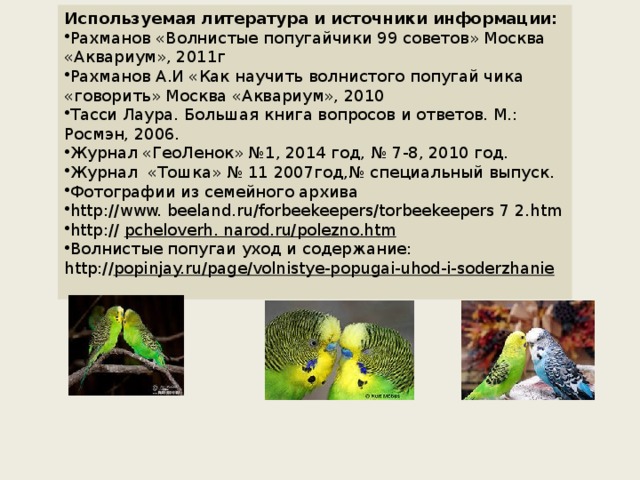 Используемая литература и источники информации: Рахманов «Волнистые попугайчики 99 советов» Москва «Аквариум», 2011г Рахманов А.И «Как научить волнистого попугай чика «говорить» Москва «Аквариум», 2010 Тасси Лаура. Большая книга вопросов и ответов. М.: Росмэн, 2006. Журнал «ГеоЛенок» №1, 2014 год, № 7-8, 2010 год. Журнал «Тошка» № 11 2007год,№ специальный выпуск. Фотографии из семейного архива http://www. beeland.ru/forbeekeepers/torbeekeepers 7 2.htm http:// pcheloverh. narod.ru/polezno.htm Волнистые попугаи уход и содержание: http:// popinjay.ru/page/volnistye-popugai-uhod-i-soderzhanie 