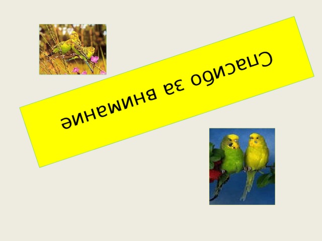 Спасибо за внимание 