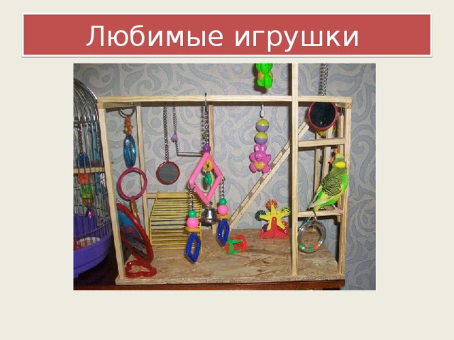 Любимые игрушки 