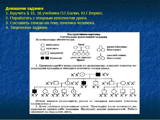 Проект на тему генетика человека 9 класс биология