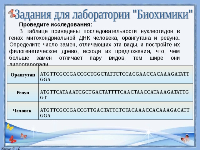 В этой статье были приведены. Определите число замен отличающих эти виды. В таблице приведены последовательности. Как определить число замен отличающих виды. ДНК орангутана в таблице приведены.