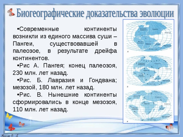 Биогеографические доказательства эволюции картинки