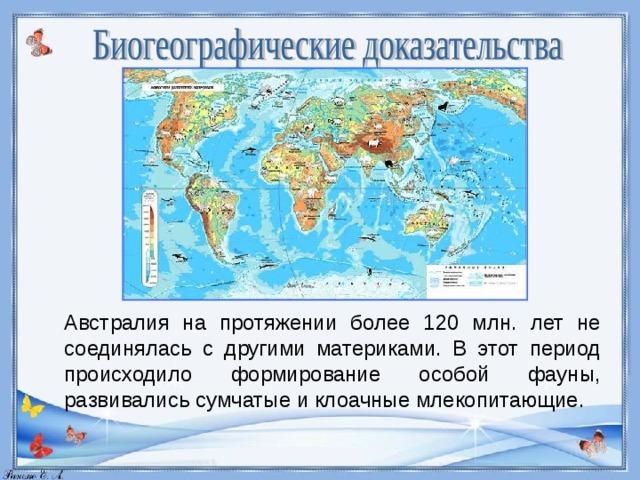 Биогеографические доказательства эволюции картинки