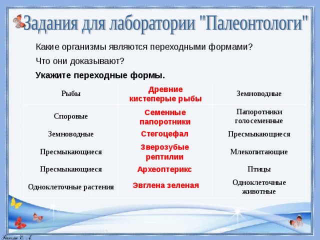 Какие организмы являются переходными формами? Что они доказывают? Укажите переходные формы.  Древние кистеперые рыбы Рыбы Споровые Земноводные Земноводные Папоротники голосеменные Пресмыкающиеся Пресмыкающиеся Пресмыкающиеся Млекопитающие Одноклеточные растения Птицы Одноклеточные животные Семенные папоротники Стегоцефал Зверозубые рептилии Археоптерикс Эвглена зеленая