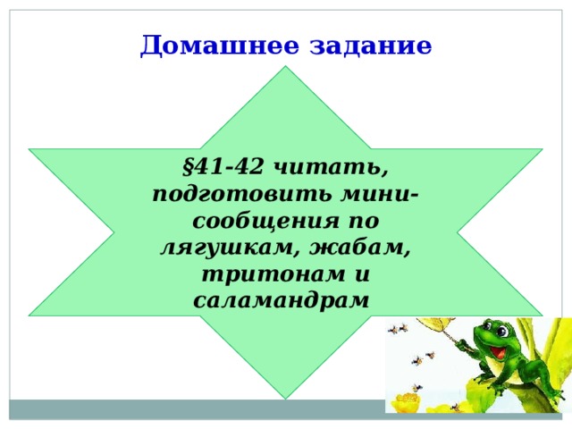 Домашнее задание §41-42 читать, подготовить мини-сообщения по лягушкам, жабам, тритонам и саламандрам 