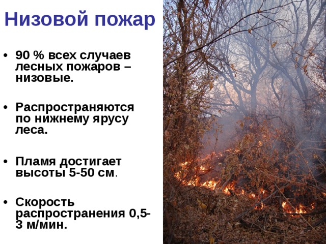 Низовой пожар 90 % всех случаев лесных пожаров – низовые.  Распространяются по нижнему ярусу леса.  Пламя достигает высоты 5-50 см . Скорость распространения 0,5-3 м/мин. 