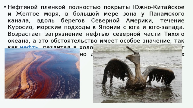 Нефтяной пленкой полностью покрыты Южно-Китайское и Желтое моря, в большой мере зона у Панамского канала, вдоль берегов Северной Америки, течение Куросио, морские подходы к Японии с юга и юго-запада. Возрастает загрязнение нефтью северной части Тихого океана, а это обстоятельство имеет особое значение, так как  нефть , разлитая в холодных северных морях, может сохраняться значительно дольше, чем в более южных теплых. 