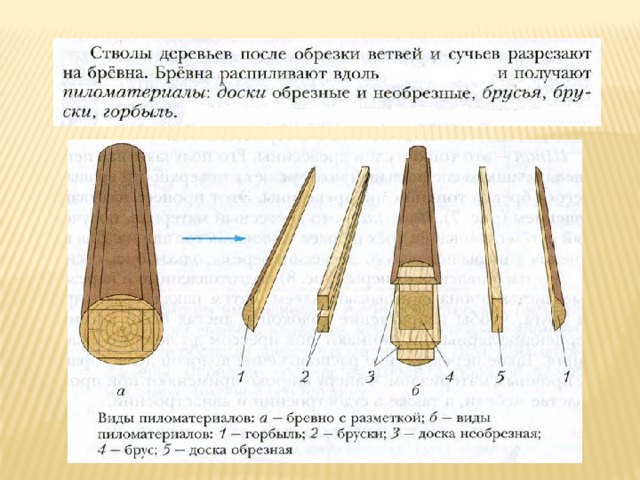 Тест свойство древесины