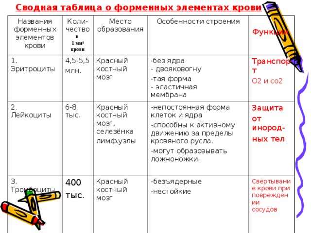 Сводная таблица о форменных элементах крови Названия форменных элементов крови 1. Эритроциты Коли-чество в 1 мм 3 крови 4,5-5,5 млн. 2. Лейкоциты Место образования Особенности строения Красный костный мозг 6-8 тыс. 3. Тромбоциты Функции без ядра  - двояковогну тая форма  - эластичная мембрана Красный костный мозг, селезёнка лимф.узлы 400 тыс. Транспорт О2 и со2 -непостоянная форма клеток и ядра -способны к активному движению за пределы кровяного русла. -могут образовывать ложноножки. Красный костный мозг Защита от инород- ных тел -безъядерные -нестойкие Свёртывание крови при повреждении  сосудов    