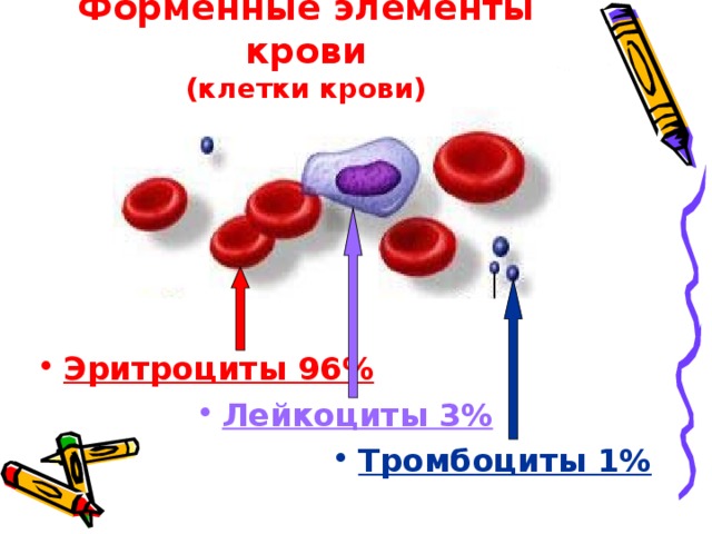 Форменные элементы крови  (клетки крови) Эритроциты 96% Лейкоциты 3% Тромбоциты 1% 