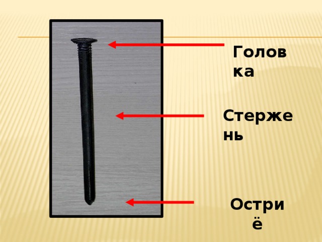 Головка Стержень Остриё 