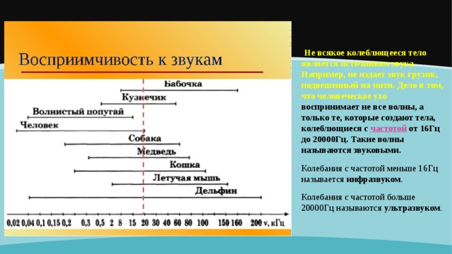 Не всякое колеблющееся тело является источником звука. Например, не издает звук грузик, подвешенный на нити. Дело в том, что человеческое ухо воспринимает не все волны, а только те, которые создают тела, колеблющиеся с  частотой  от 16Гц до 20000Гц. Такие волны называются звуковыми. Колебания с частотой меньше 16Гц называется  инфразвуком . Колебания с частотой больше 20000Гц называются  ультразвуком .