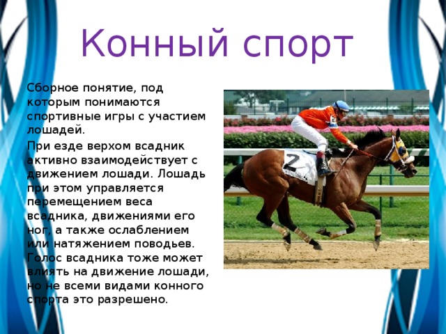 Конный спорт презентация по физкультуре