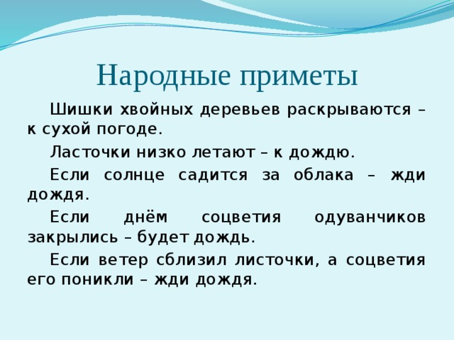 Если днем одуванчики закрылись. Шишки хвойных деревьев раскрываются примета. Шишки заойныз леревтев раскрываются при. Примета если шишки хвойных деревьев раскрываются. Народные приметы шишки хвойных.