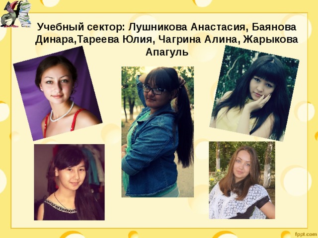 Учебный сектор: Лушникова Анастасия, Баянова Динара,Тареева Юлия, Чагрина Алина, Жарыкова Апагуль    