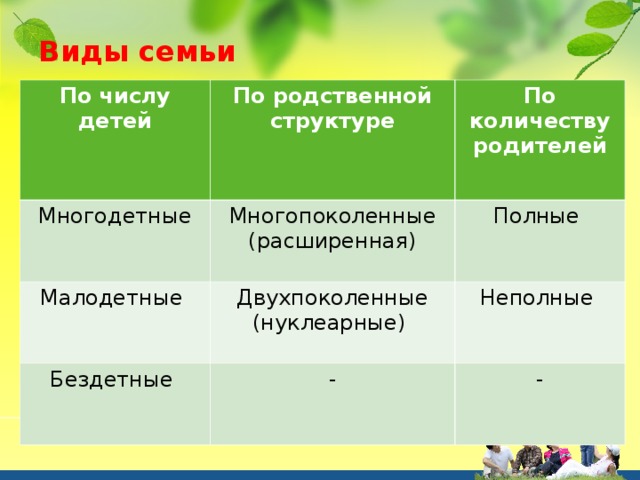 Типы семейства. Виды семей по родственной структуре. Виды семей по количеству детей. Виды семей по числу родителей. Типы семей по числу детей.