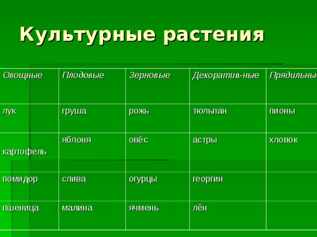 Культурные растения овощные плодовые зерновые декоративные растения