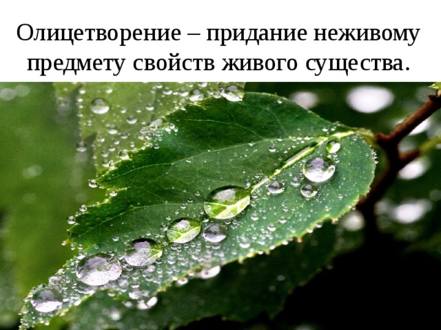 Олицетворение – придание неживому предмету свойств живого существа. 