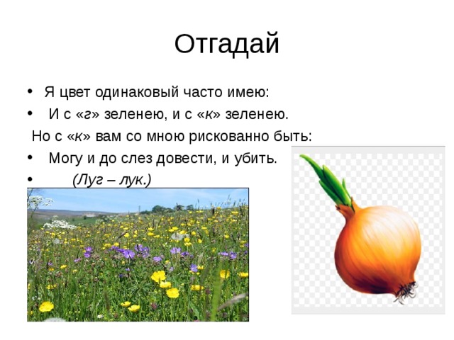 Часто не имеющих. Я цвет одинаковый часто имею и с г зеленею и с к зеленею. Я цвет одинаковый часто. Загадка я цвет одинаковый часто имею и с г зеленею и с к зеленею ответ. Я цвет одинаковый часто имею метаграмма.