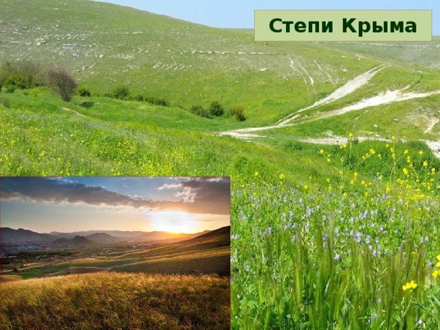 Степи Крыма 