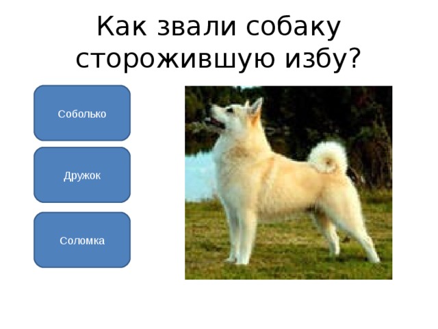 Как звали пса. Соболько. Соболько ударение мамин Сибиряк. Соболько ударение. Характер Соболько.