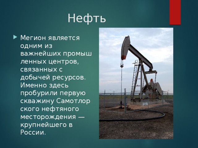 Нефть Мегион является одним из важнейших промышленных центров, связанных с добычей ресурсов. Именно здесь пробурили первую скважину Самотлорского нефтяного месторождения — крупнейшего в России. 