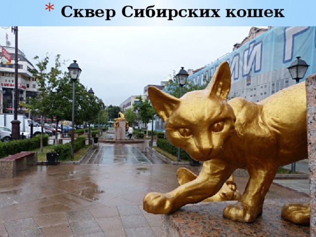Сквер Сибирских кошек 