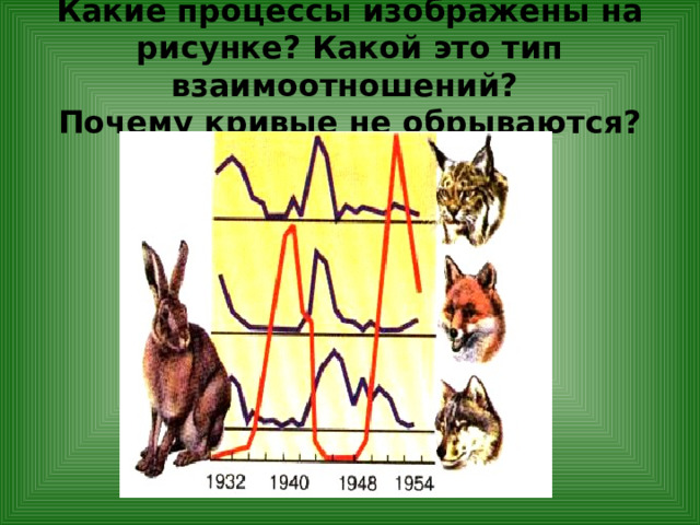 Какие процессы изображены на рисунке? Какой это тип взаимоотношений?  Почему кривые не обрываются? 