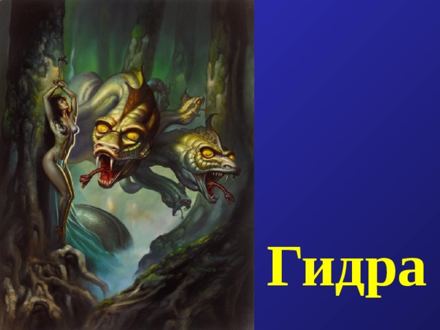 Гидра 