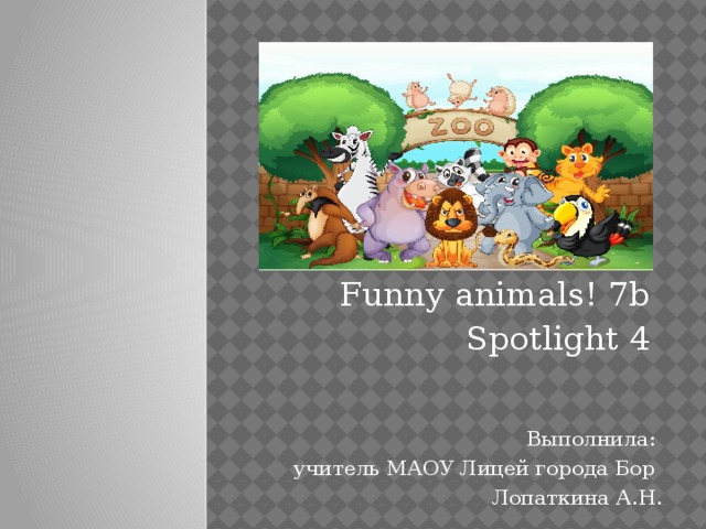 A fun day spotlight 3 презентация