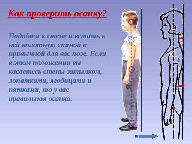 Стена осанка. Как правильно проверить осанку. Правильная осанка около стены.