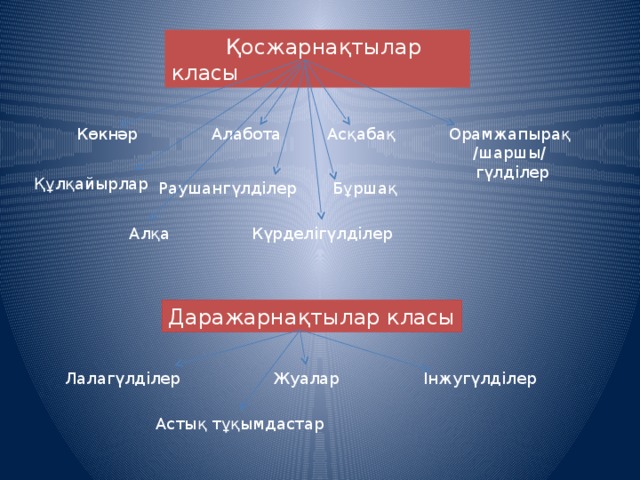  Қосжарнақтылар класы Асқабақ Көкнәр Орамжапырақ Алабота /шаршы/ гүлділер Құлқайырлар Бұршақ Раушангүлділер Күрделігүлділер Алқа Даражарнақтылар класы Жуалар Інжугүлділер Лалагүлділер Астық тұқымдастар 