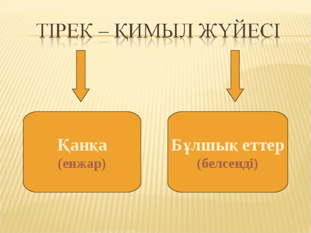 Қанқа Бұлшық еттер (енжар) (белсенді) 