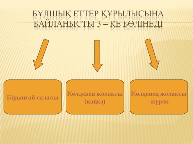 Бірыңғай салалы Көлденең жолақты (қаңқа) Көлденең жолақты  жүрек 