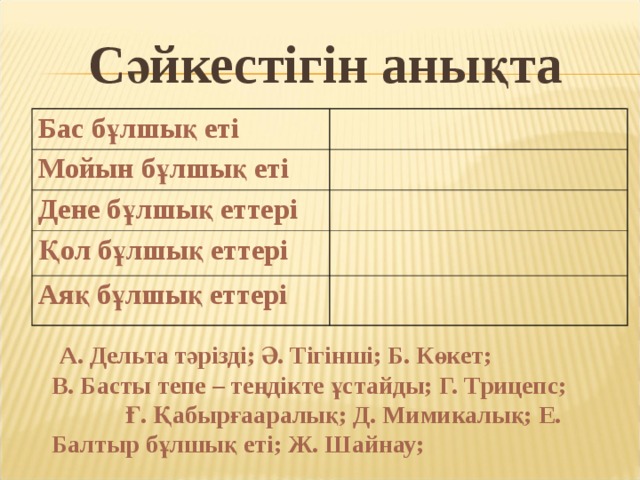 Сәйкестігін анықта Бас бұлшық еті Мойын бұлшық еті Дене бұлшық еттері Қол бұлшық еттері Аяқ бұлшық еттері  А. Дельта тәрізді; Ә. Тігінші; Б. Көкет; В. Басты тепе – теңдікте ұстайды; Г. Трицепс; Ғ. Қабырғааралық; Д. Мимикалық; Е. Балтыр бұлшық еті; Ж. Шайнау; 