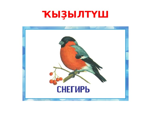 ҠЫҘЫЛТҮШ 