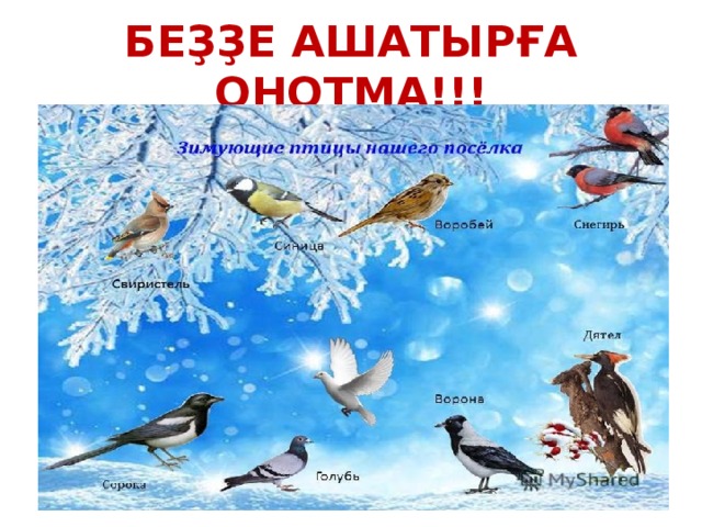 БЕҘҘЕ АШАТЫРҒА ОНОТМА!!! 