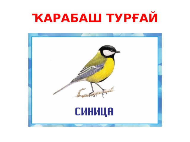 ҠАРАБАШ ТУРҒАЙ 