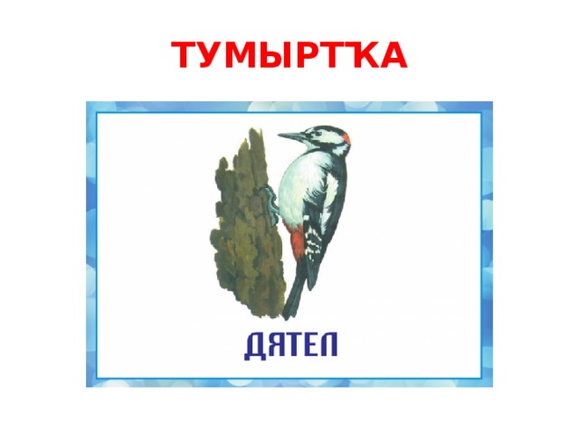 ТУМЫРТҠА 
