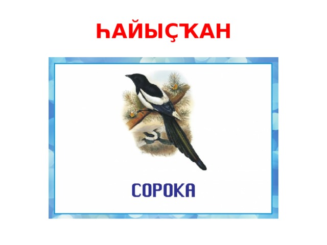 ҺАЙЫҪҠАН 