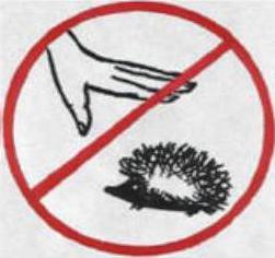 Ежик запрещен. Экологические знаки. Природоохранные знаки. Запрещающие знаки в лесу. Экологический знак с ежом.