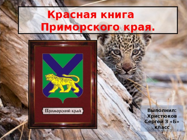 Красная книга Приморского края. Выполнил: Христюков Сергей 3 «Б» класс 